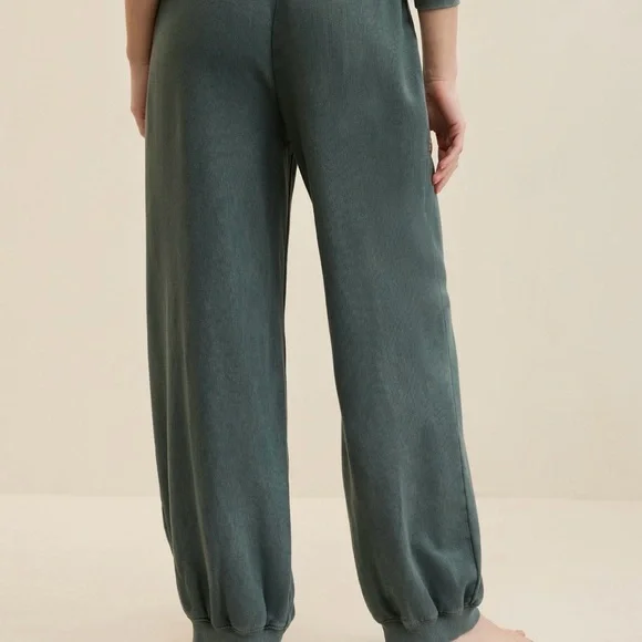 Aerie vacay joggers- medium - Picture 4 of 8